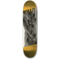 Planche Visual Skateboards Shmatty Oasis Deck 8.1